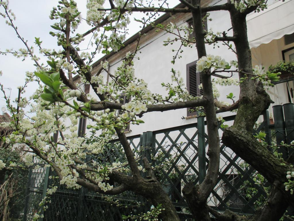 Dimora & Arte B&B Canneto sull'Oglio Eksteriør billede